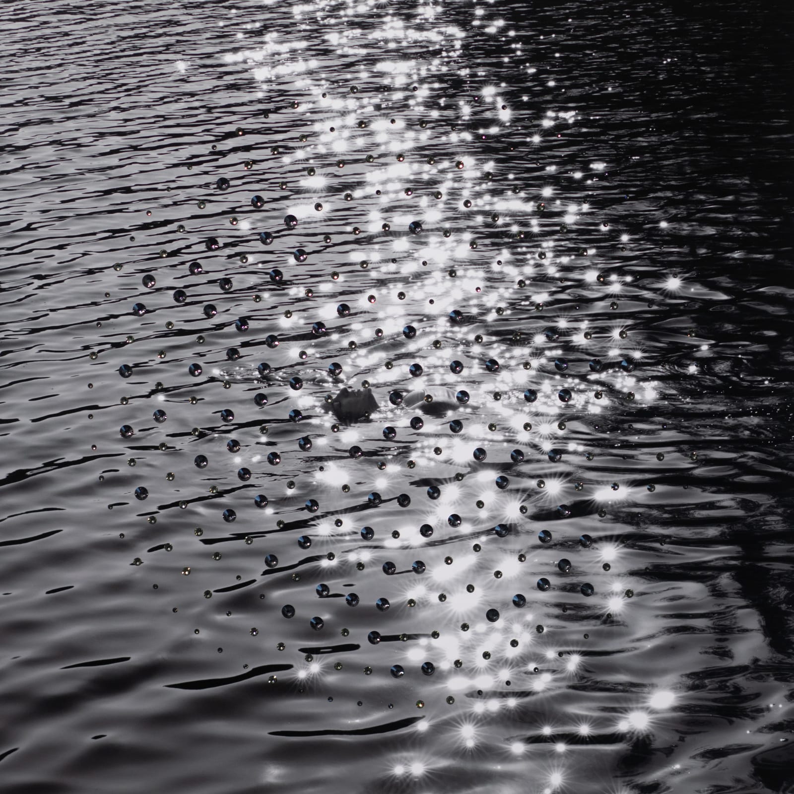 Ry Van Der Hout, Or, 2021