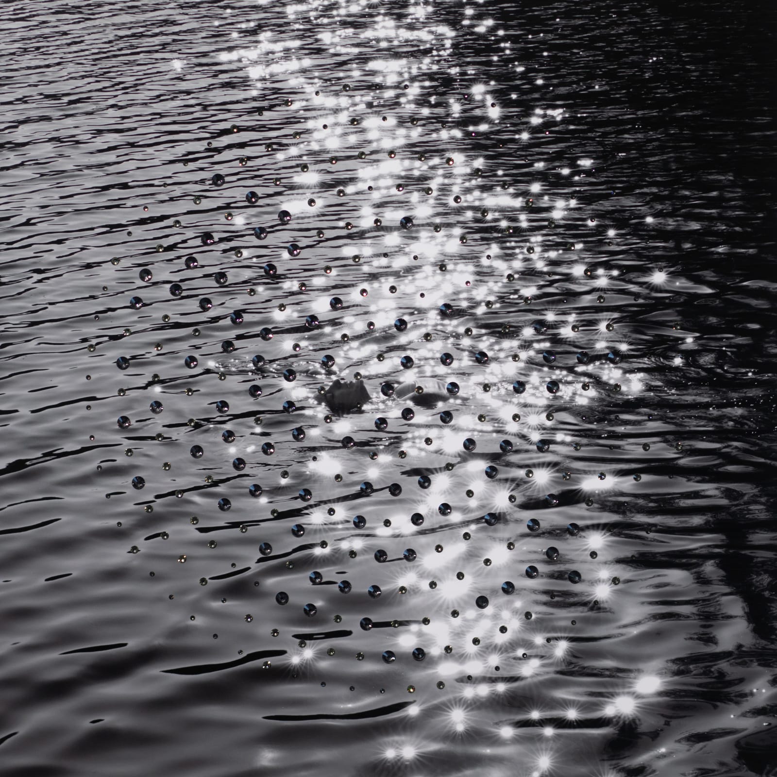 Ryan Van Der Hout, Or, 2021