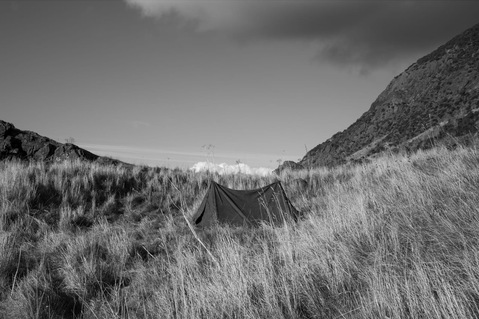 Kevin Harm, Tent 3, 2017