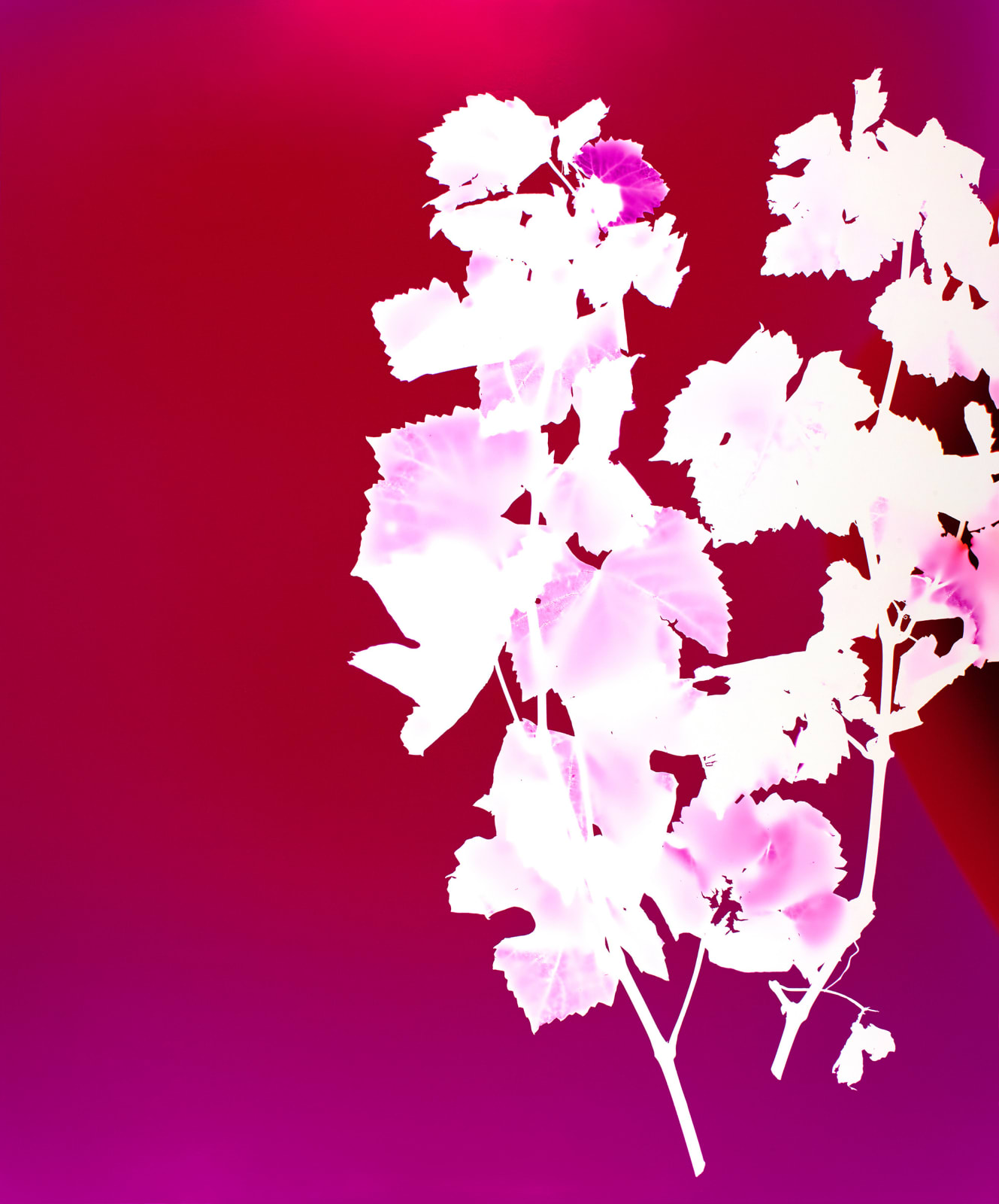 Elsa Leydier, Sans Titre #1 | Heatwave, 2019