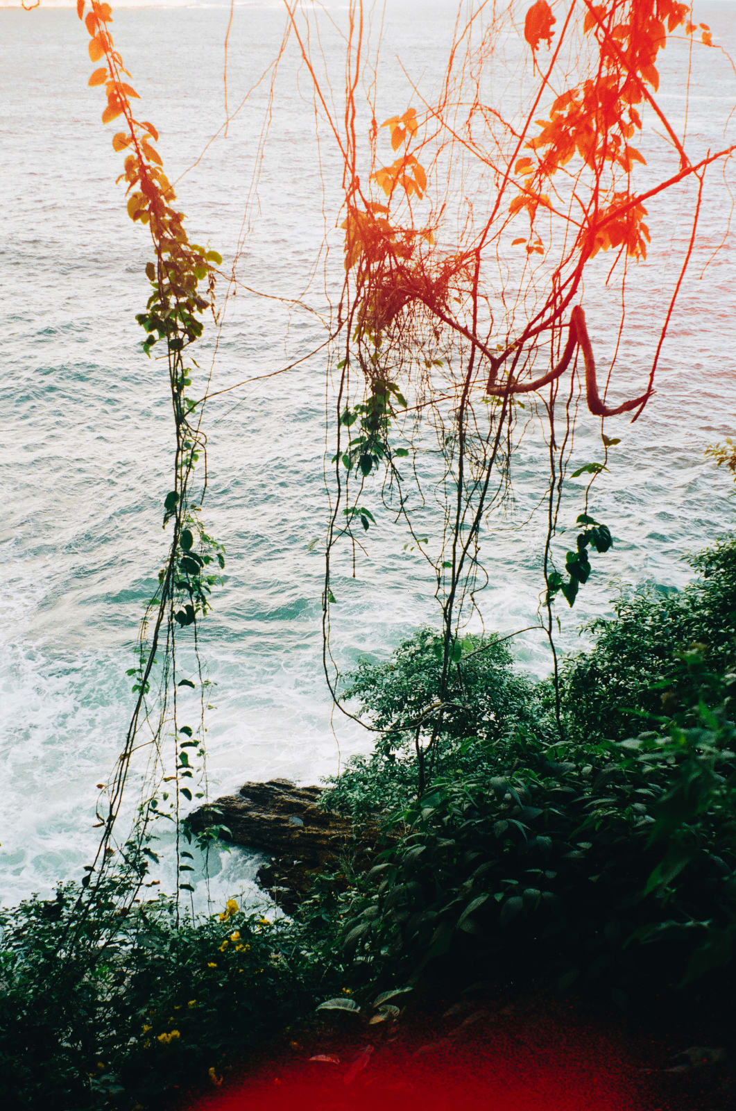 Elsa Leydier, Sans Titre #33 | Lutoa, 2019