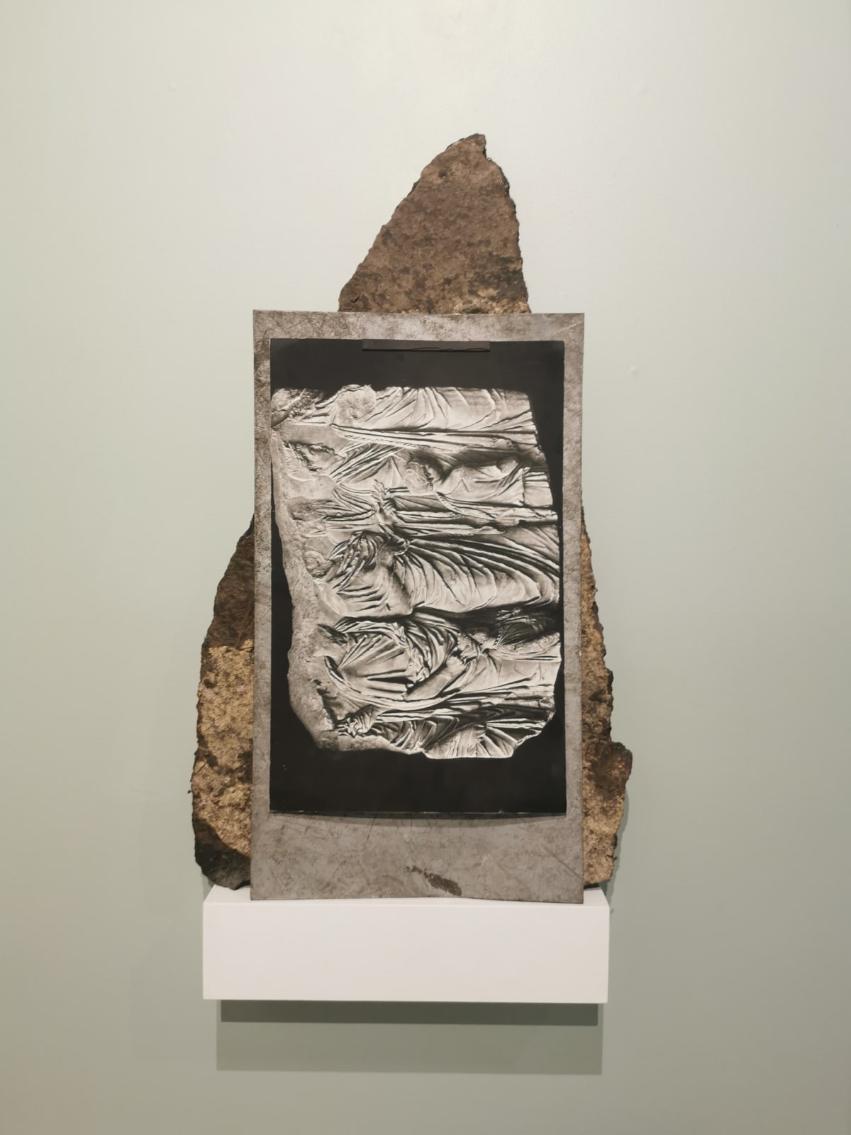 Thomas Hauser, Module #94.2021, 2021