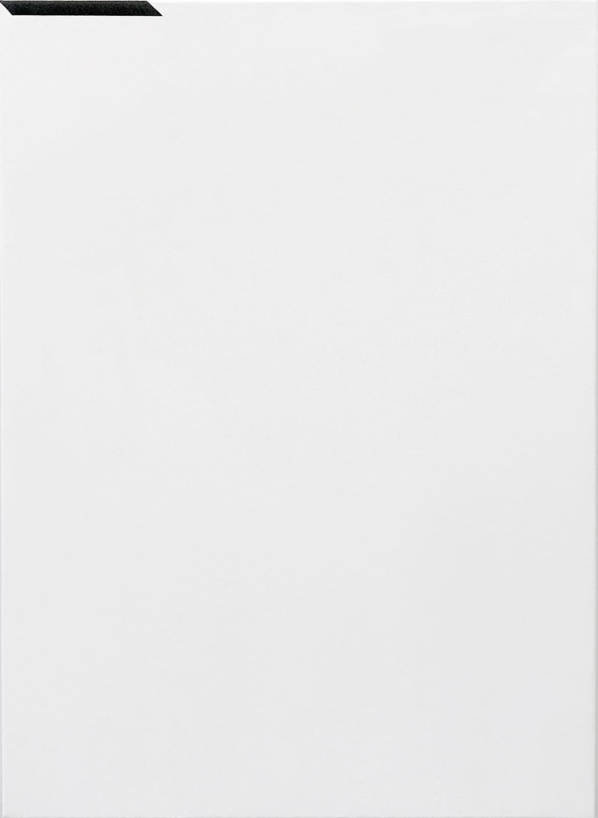 Erris Huigens, Cut 55 x 40 05, 2020