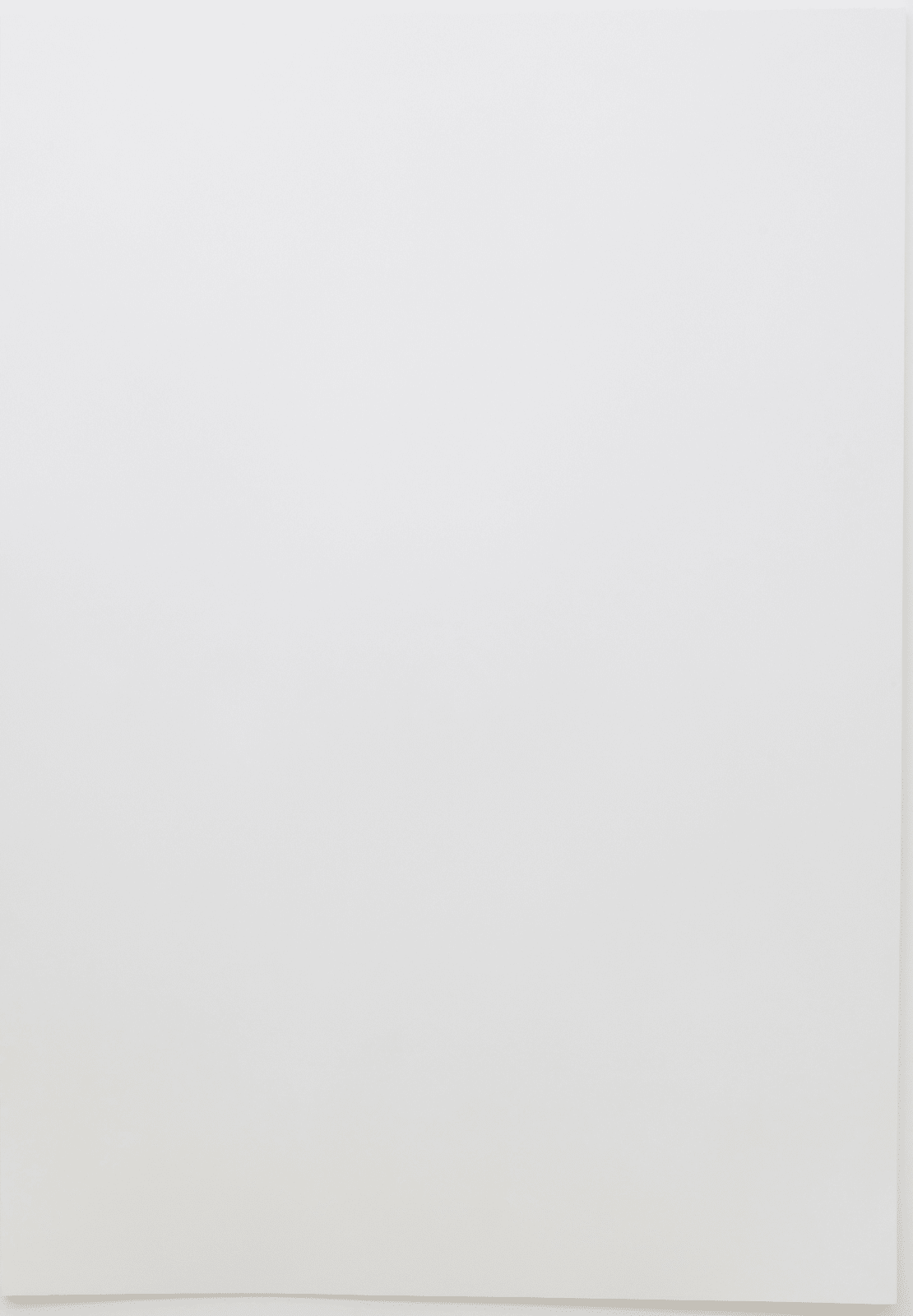 Cécile Dupaquier, Tableau (weiss-weiss 210x146) N°1, 2016