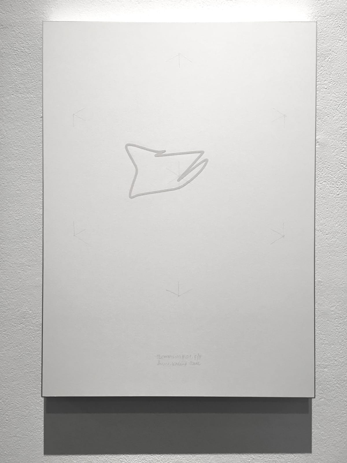 Anne-Valérie Gasc, Tectorium #1, 2016