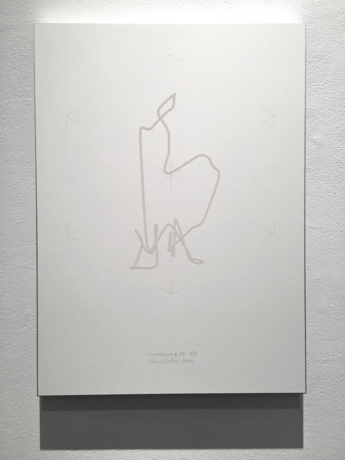 Anne-Valérie Gasc, Tectorium #5, 2016