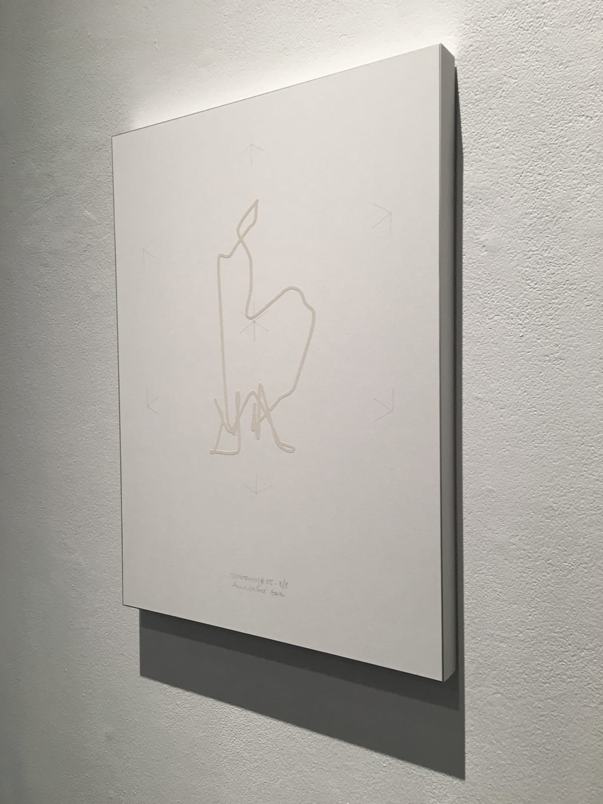 Anne-Valérie Gasc, Tectorium #5, 2016