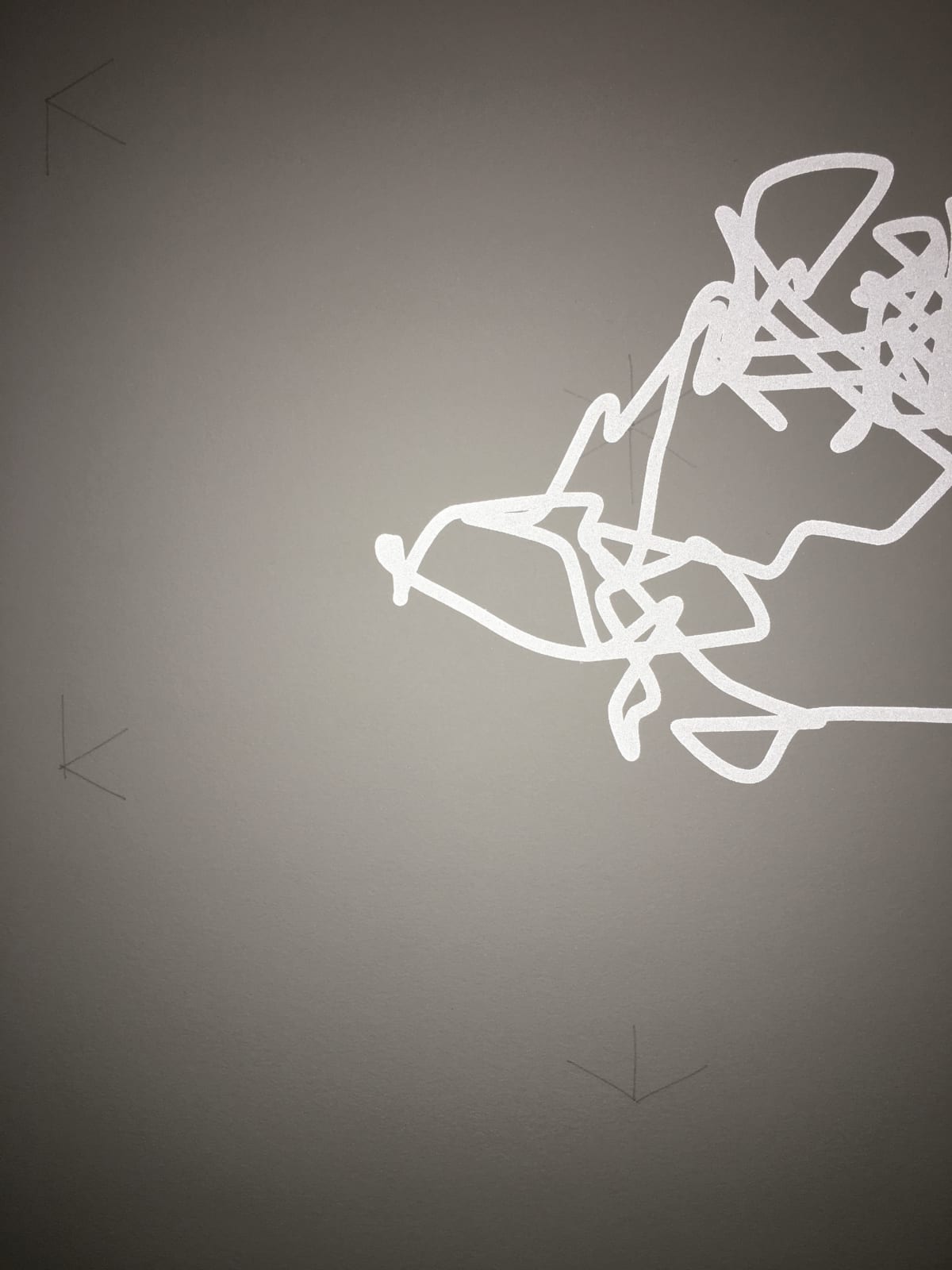 Anne-Valérie Gasc, Tectorium #3, 2016