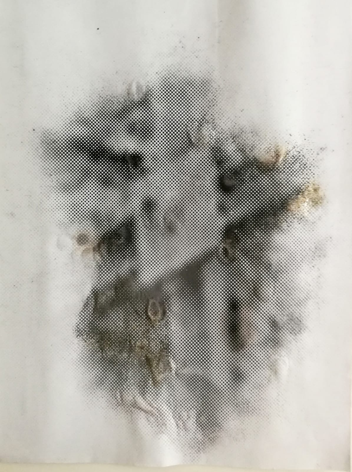 Anne-Valérie Gasc, Première ligne #02 - 1/8Ex, 2018