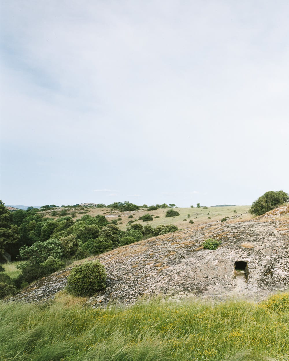 Giaime Meloni, Arcaico #1, 2016