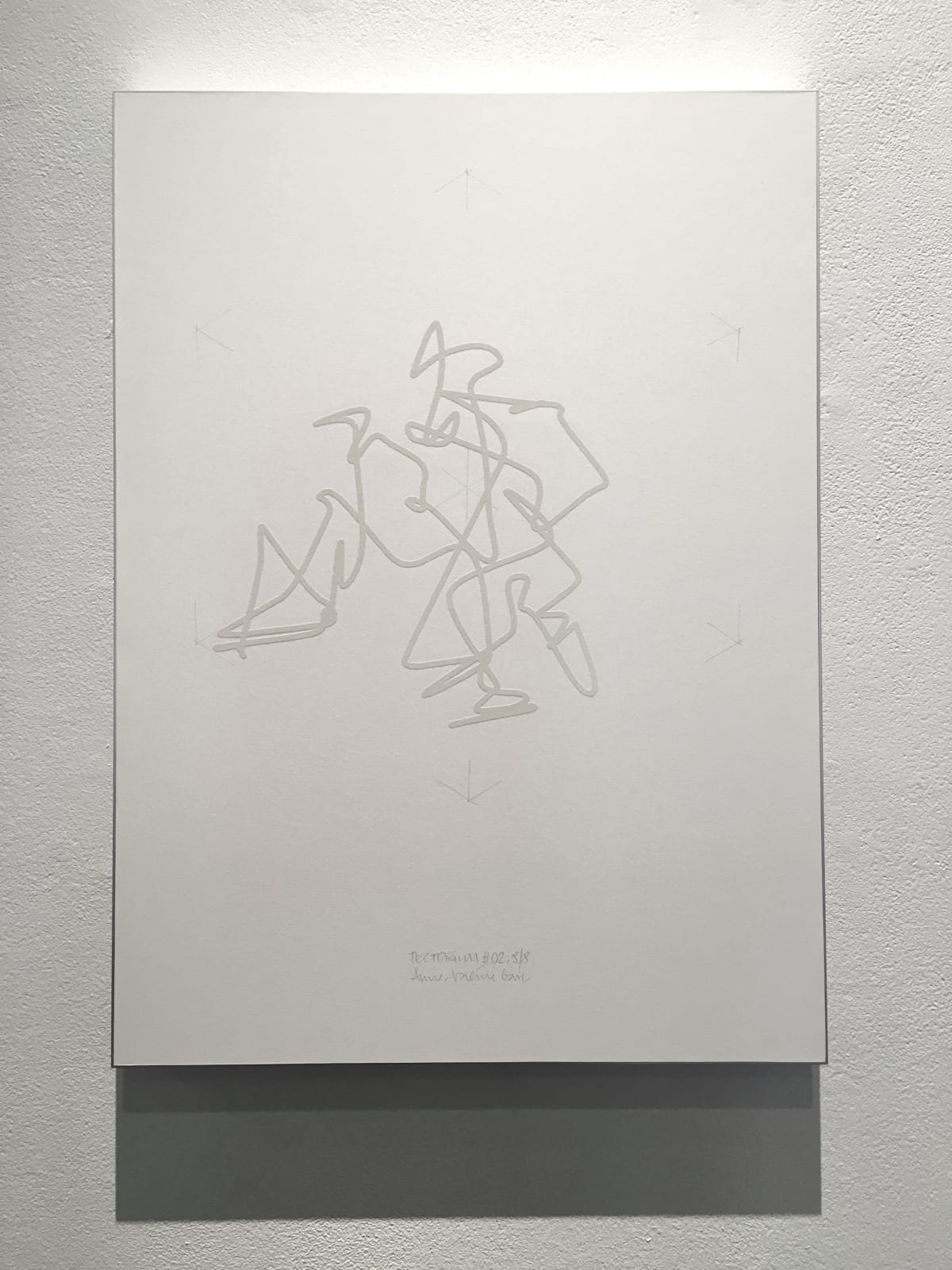 Anne-Valérie Gasc, Tectorium #2, 2016