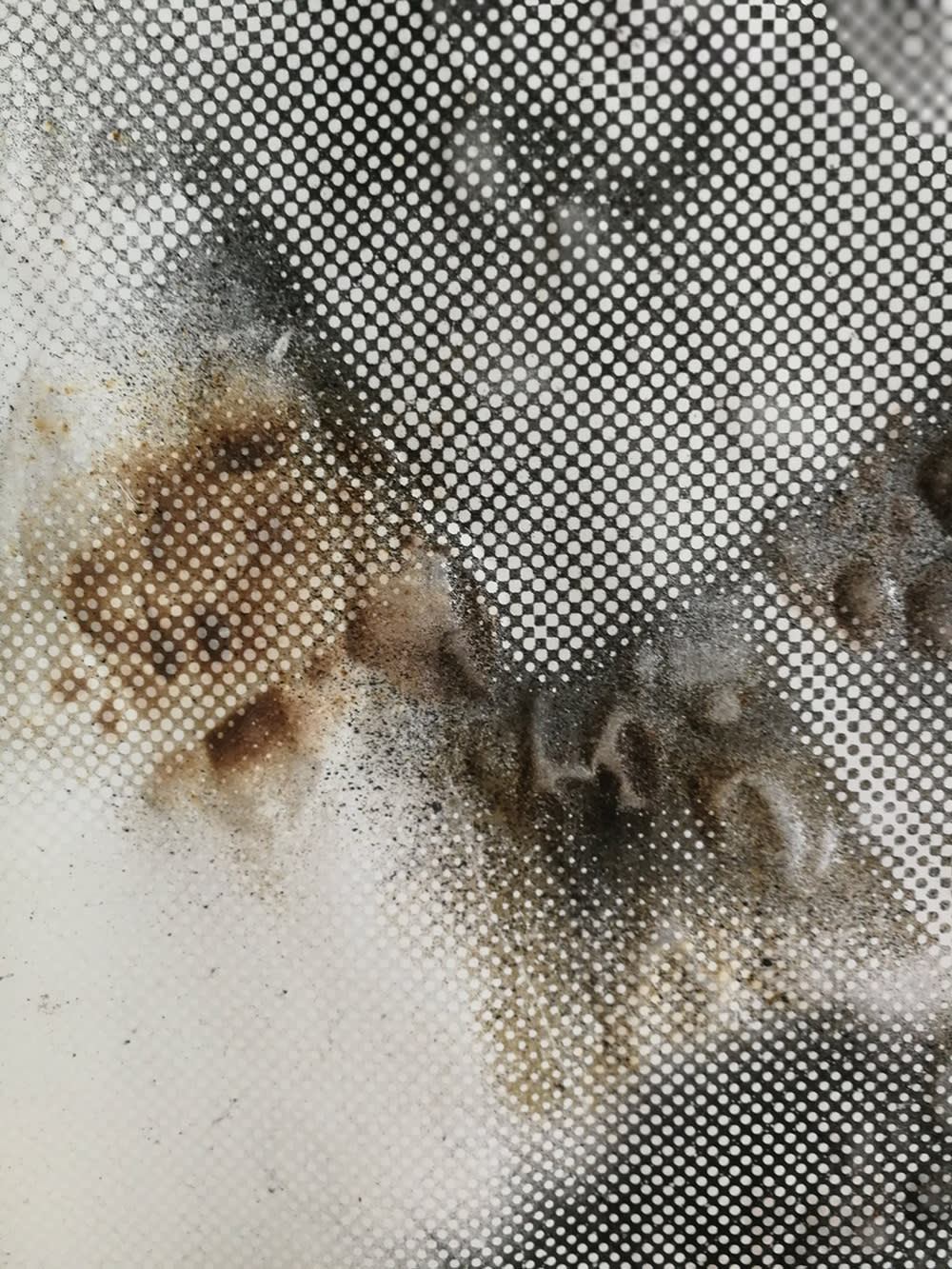 Anne-Valérie Gasc, Première ligne #07 - 1/8Ex, 2018