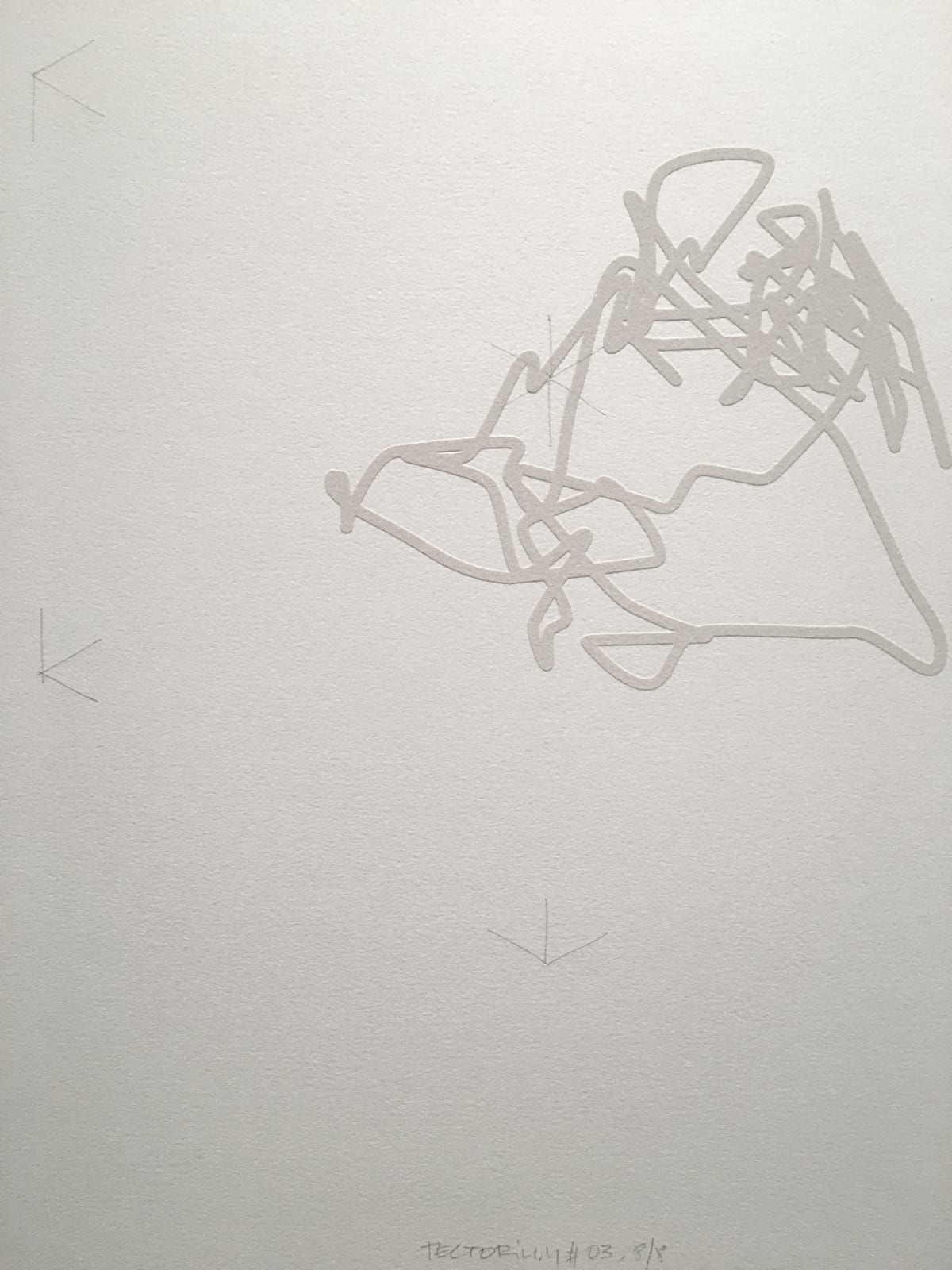Anne-Valérie Gasc, Tectorium #3, 2016