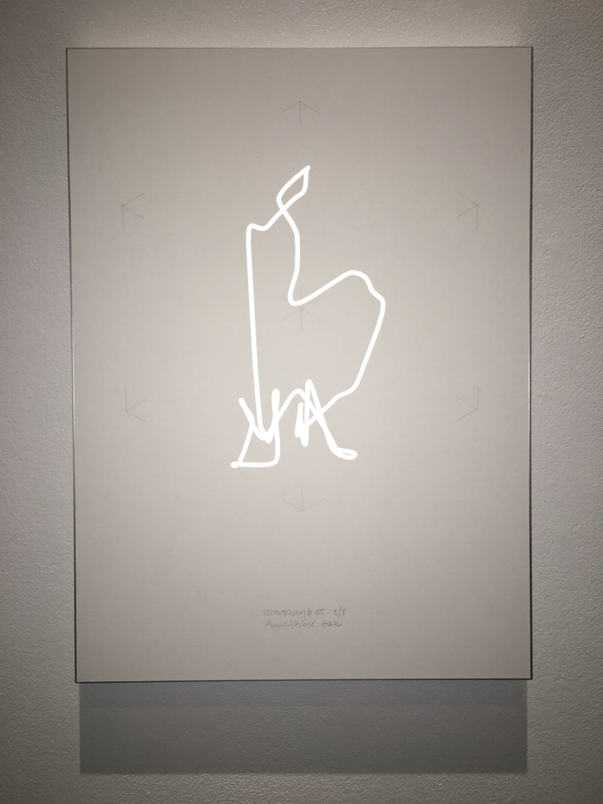 Anne-Valérie Gasc, Tectorium #5, 2016