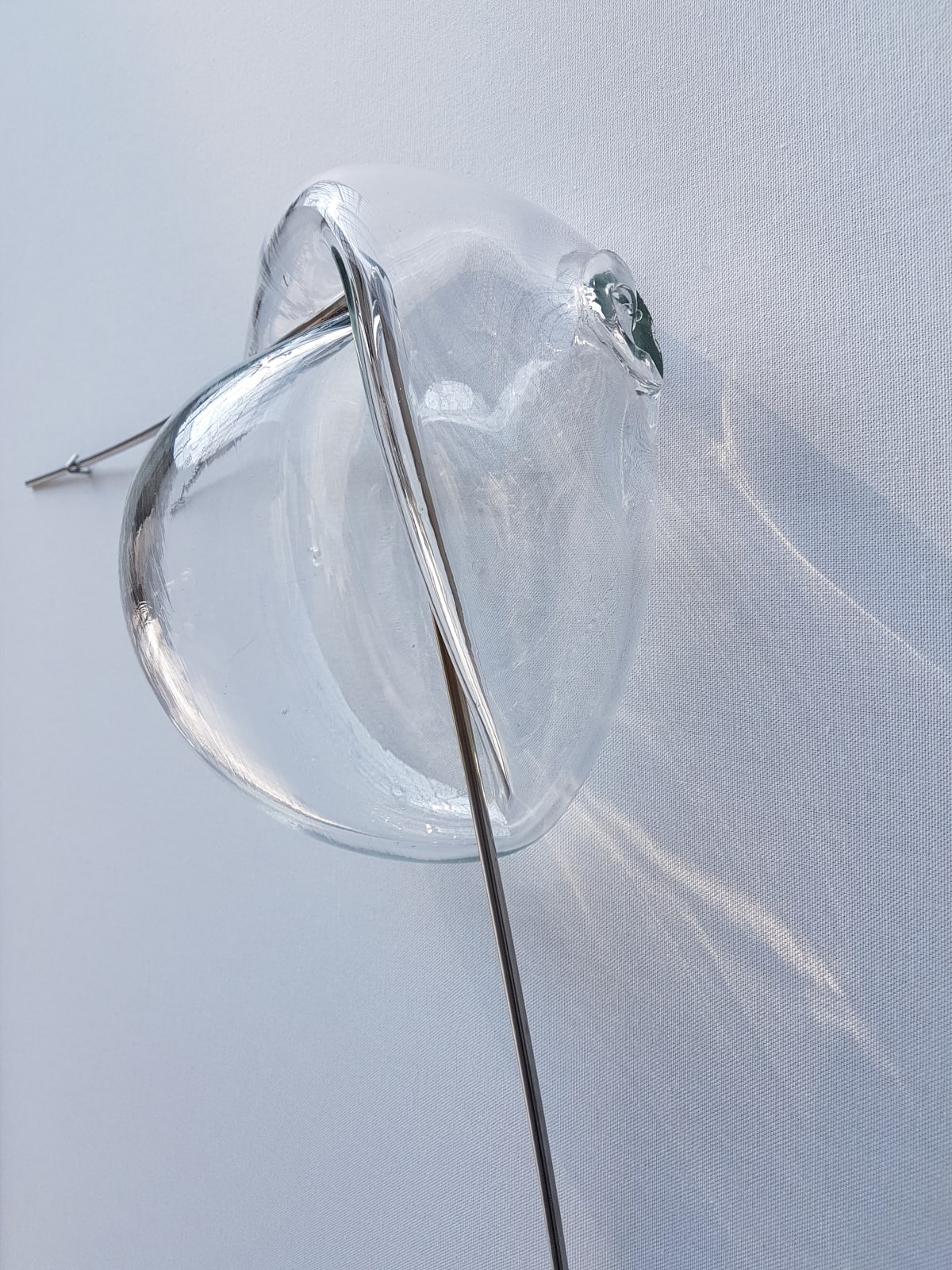 Tulio Pinto, Rectangle #4, 2020