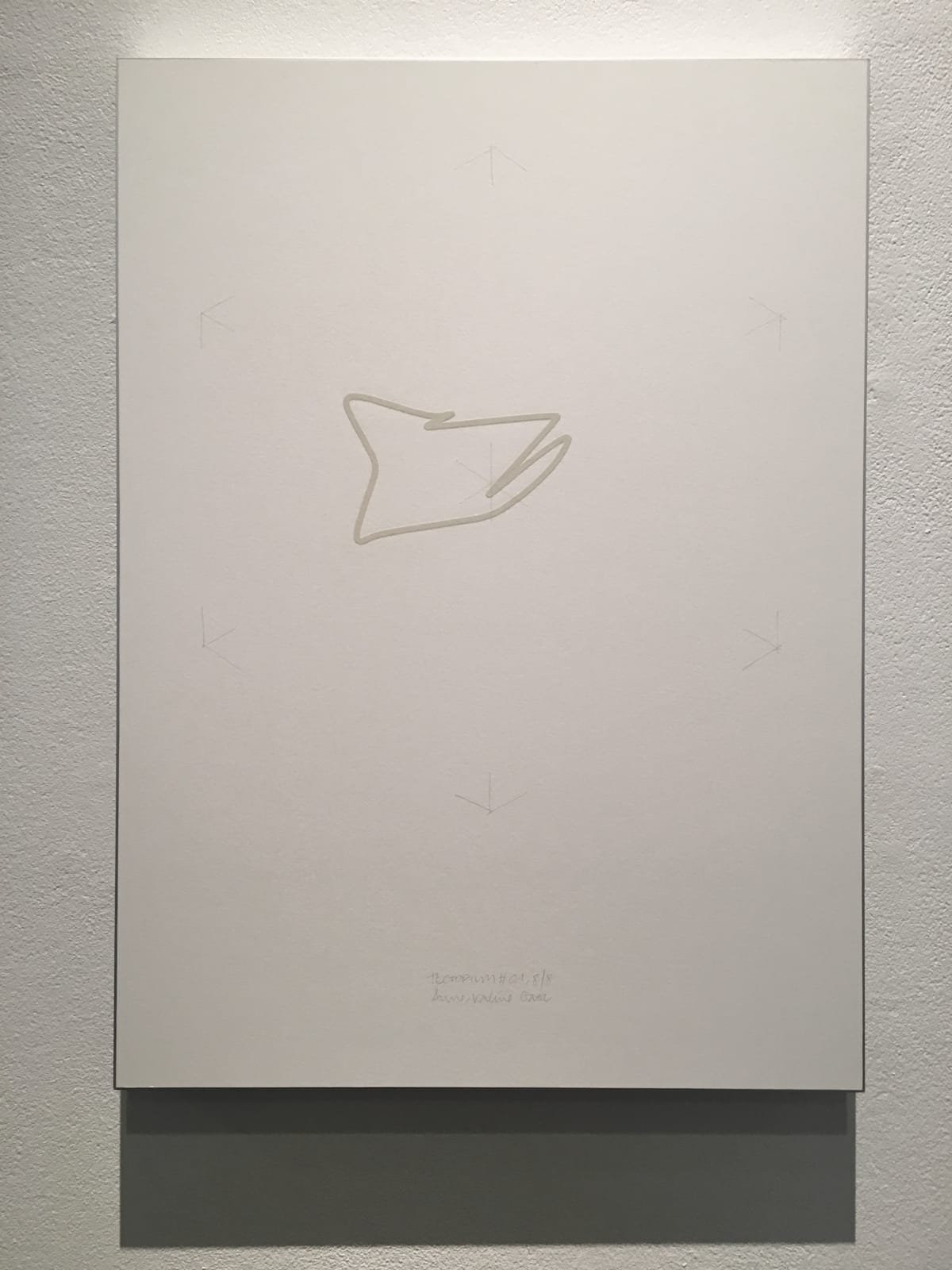 Anne-Valérie Gasc, Tectorium #1, 2016