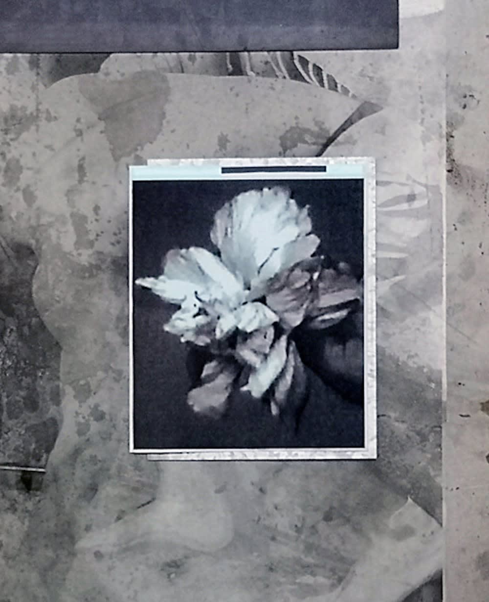 Thomas Hauser, Module #206, 2022. , 2022