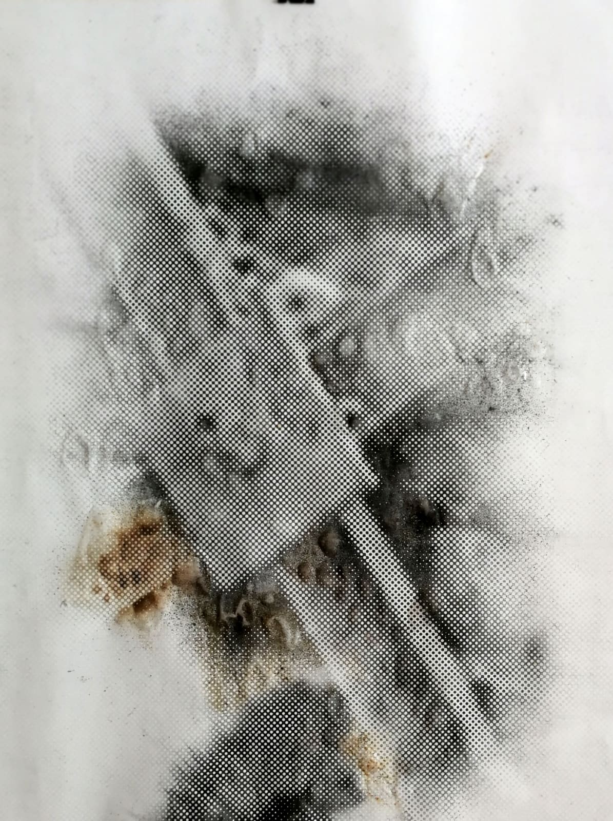 Anne-Valérie Gasc, Première ligne #07 - 1/8Ex, 2018