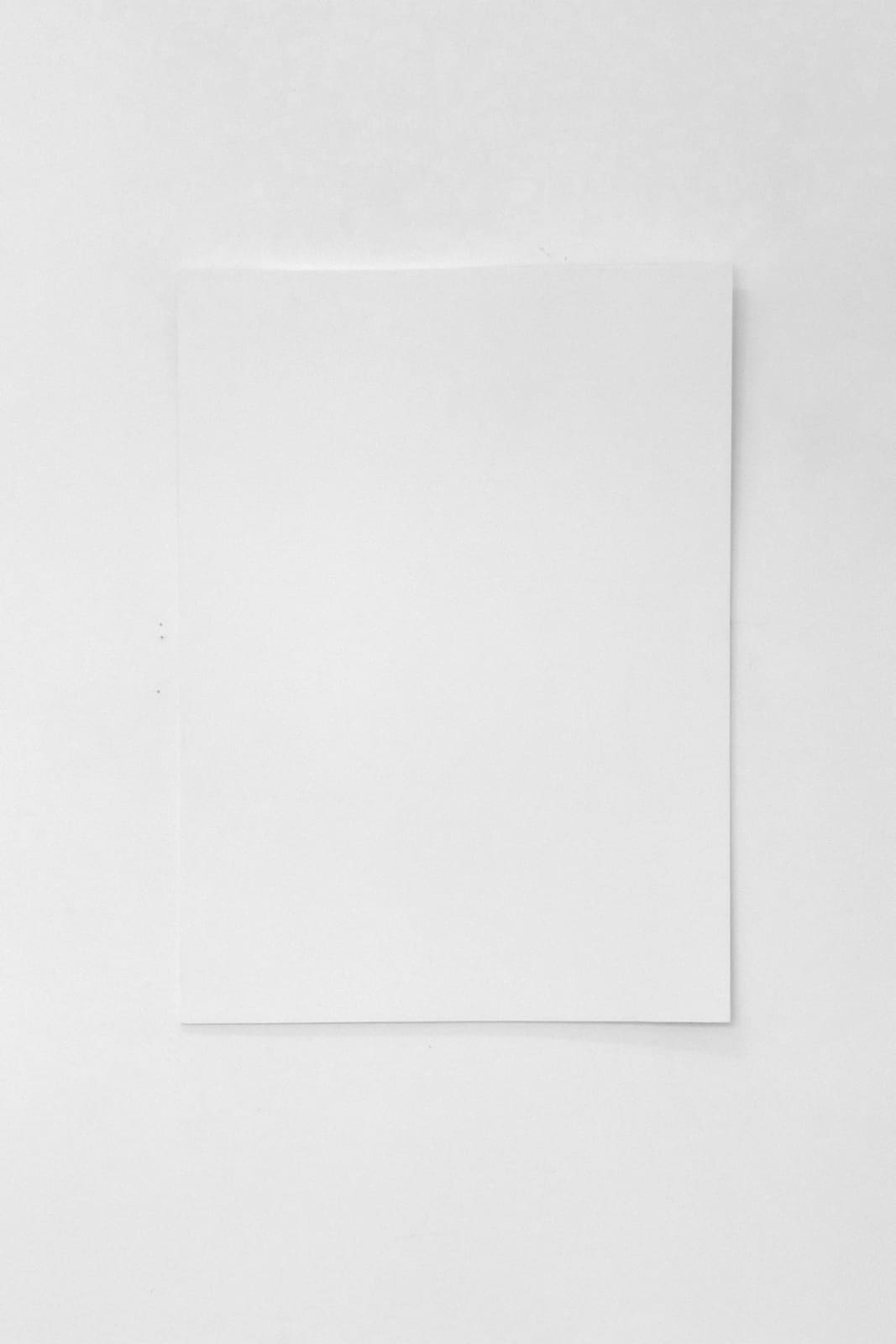 Cécile Dupaquier, Tableau (weiß-weiß 100x72) N°1, 2017
