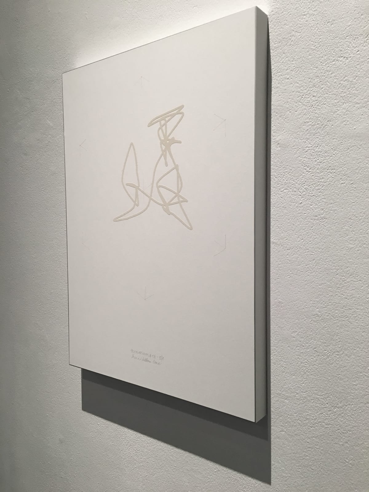Anne-Valérie Gasc, Tectorium #6, 2016