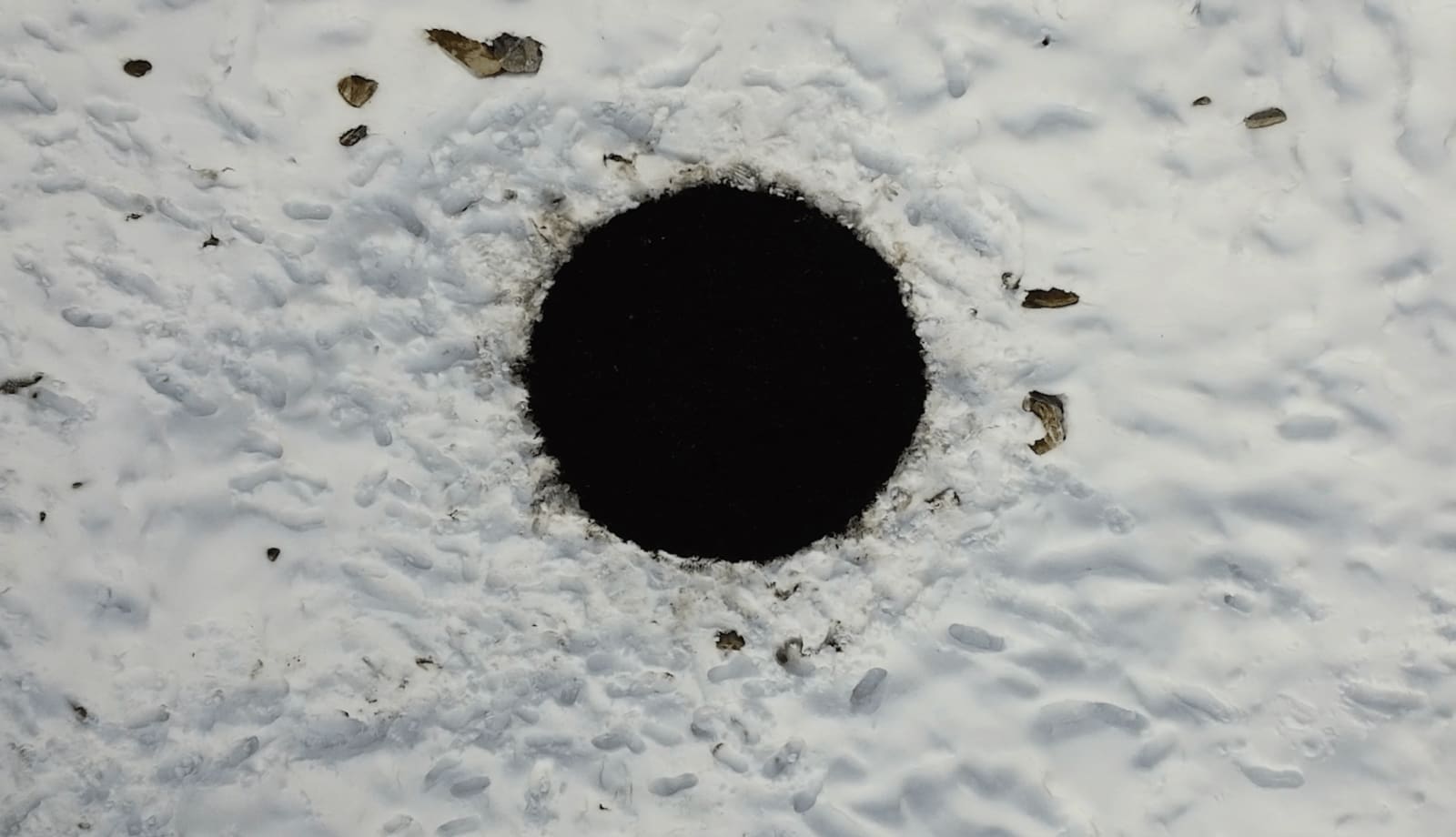 Xu Shuai, '4C+37, 2021