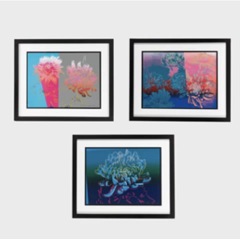 Andy Warhol, Kiku (set) , 1983