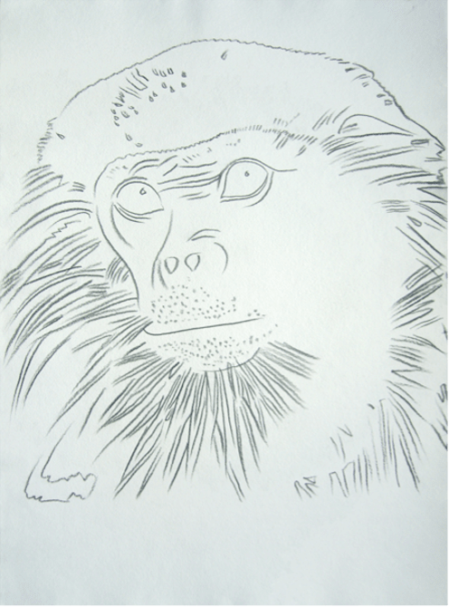 Andy Warhol, Douc Langur from Vanishing Animals, 1986
