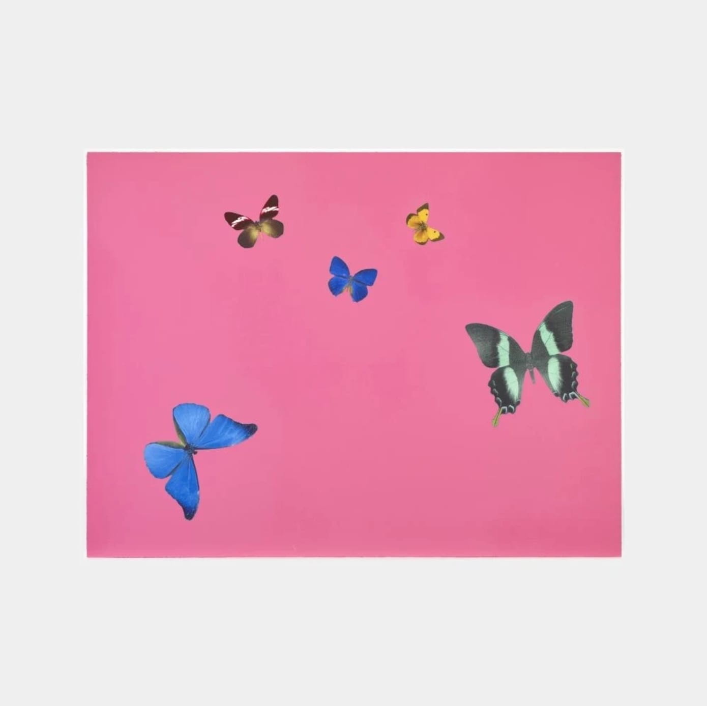 Damien Hirst, Be Considerate (from Lessons in Love), 2018