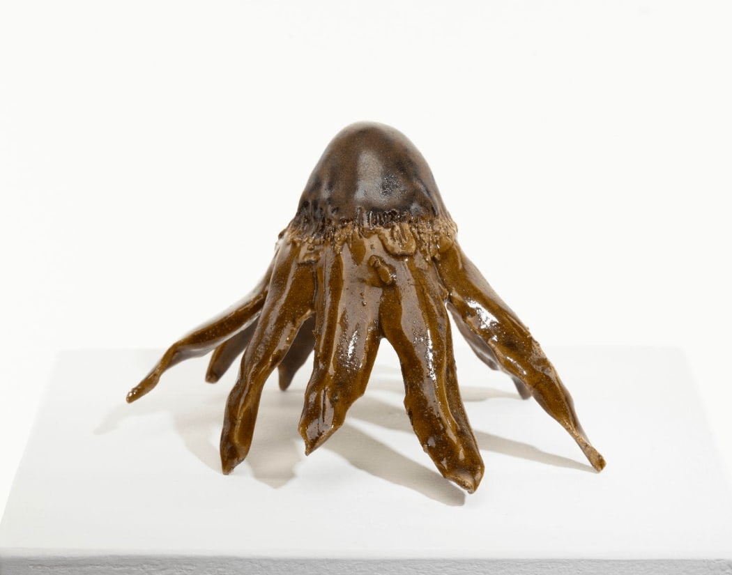 Diane Chappalley, Anxious Flower , 2022
