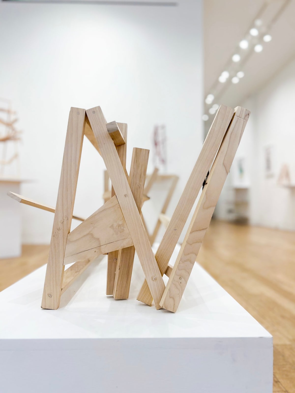 Willard Boepple, Lap, 2025