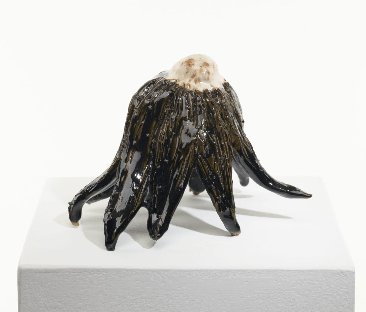 Diane Chappalley, Anxious Flower , 2022
