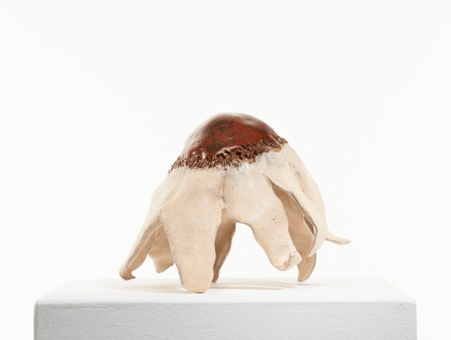 Diane Chappalley, Anxious Flower , 2022