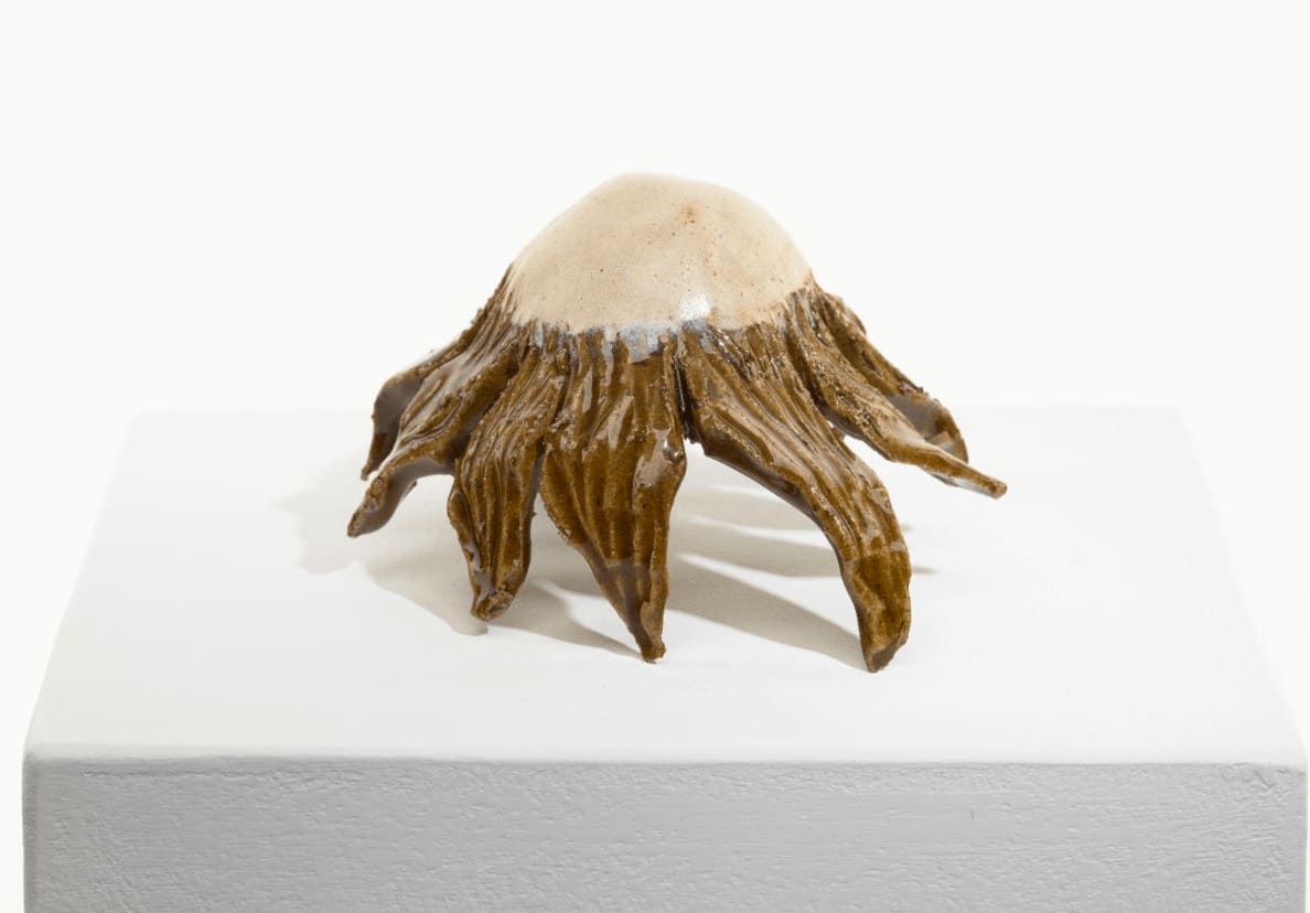 Diane Chappalley, Anxious Flower , 2022