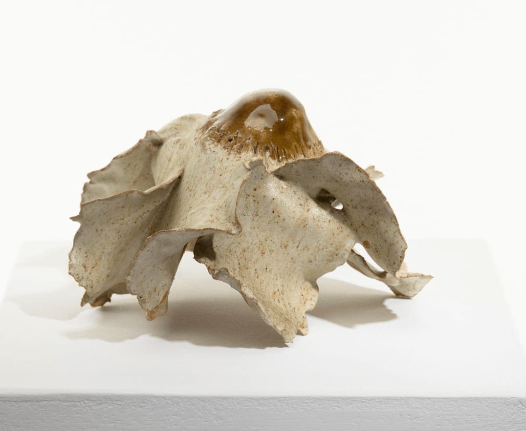 Diane Chappalley, Anxious Flower , 2022