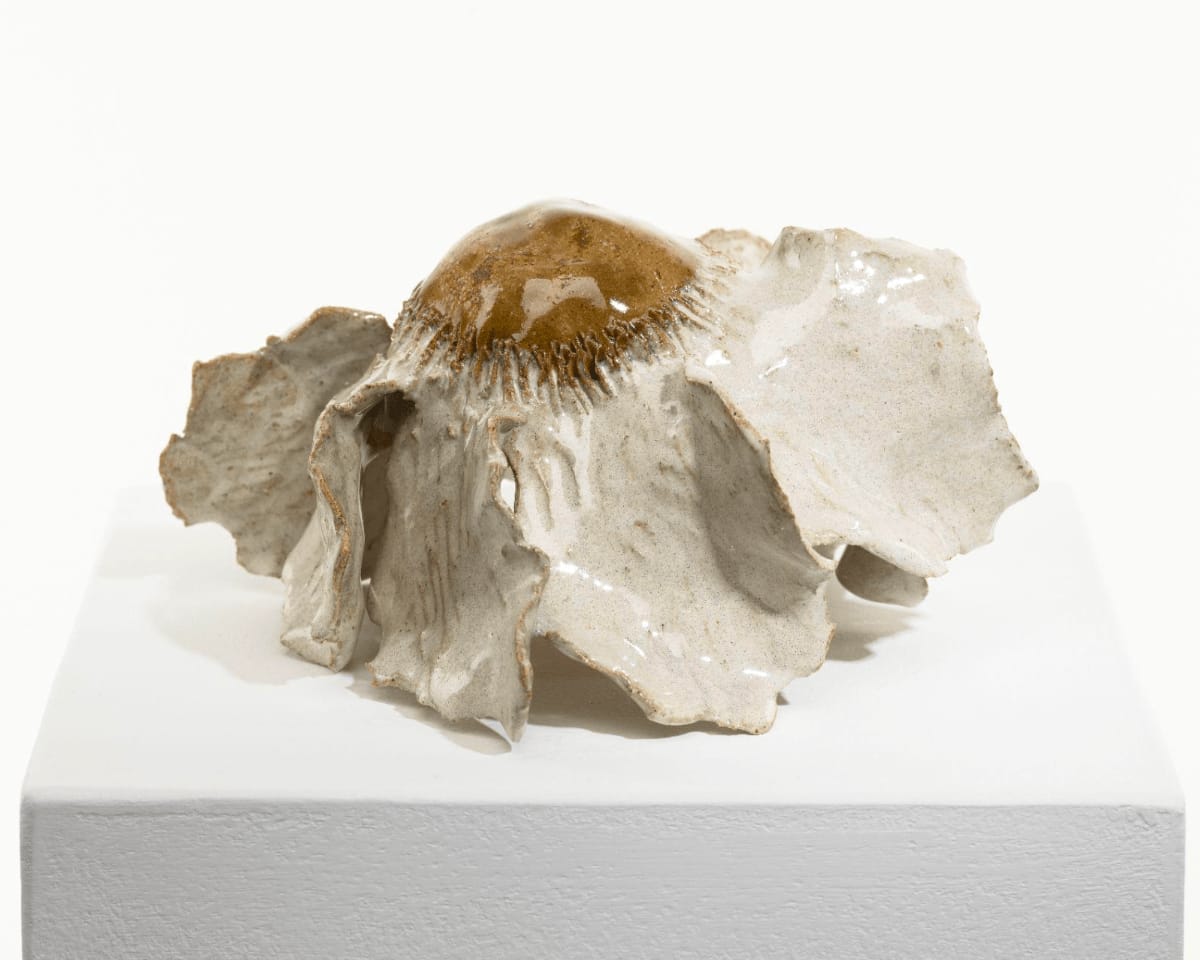 Diane Chappalley, Anxious Flower , 2022