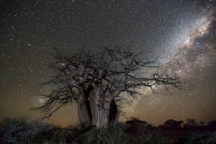 Beth Moon, Cetus, Série Diamond Nights / Cetus, 2014
