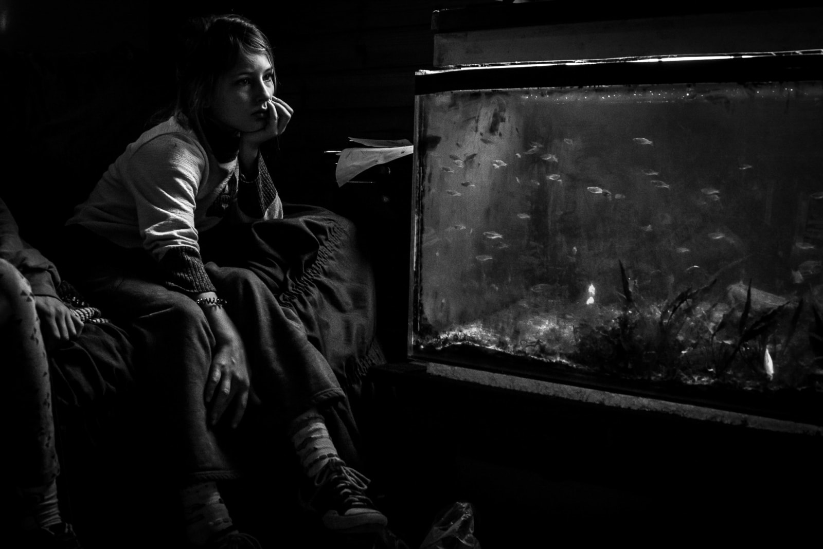 André Cunha, Série Santuário / Sanctuary series, 2016/2017