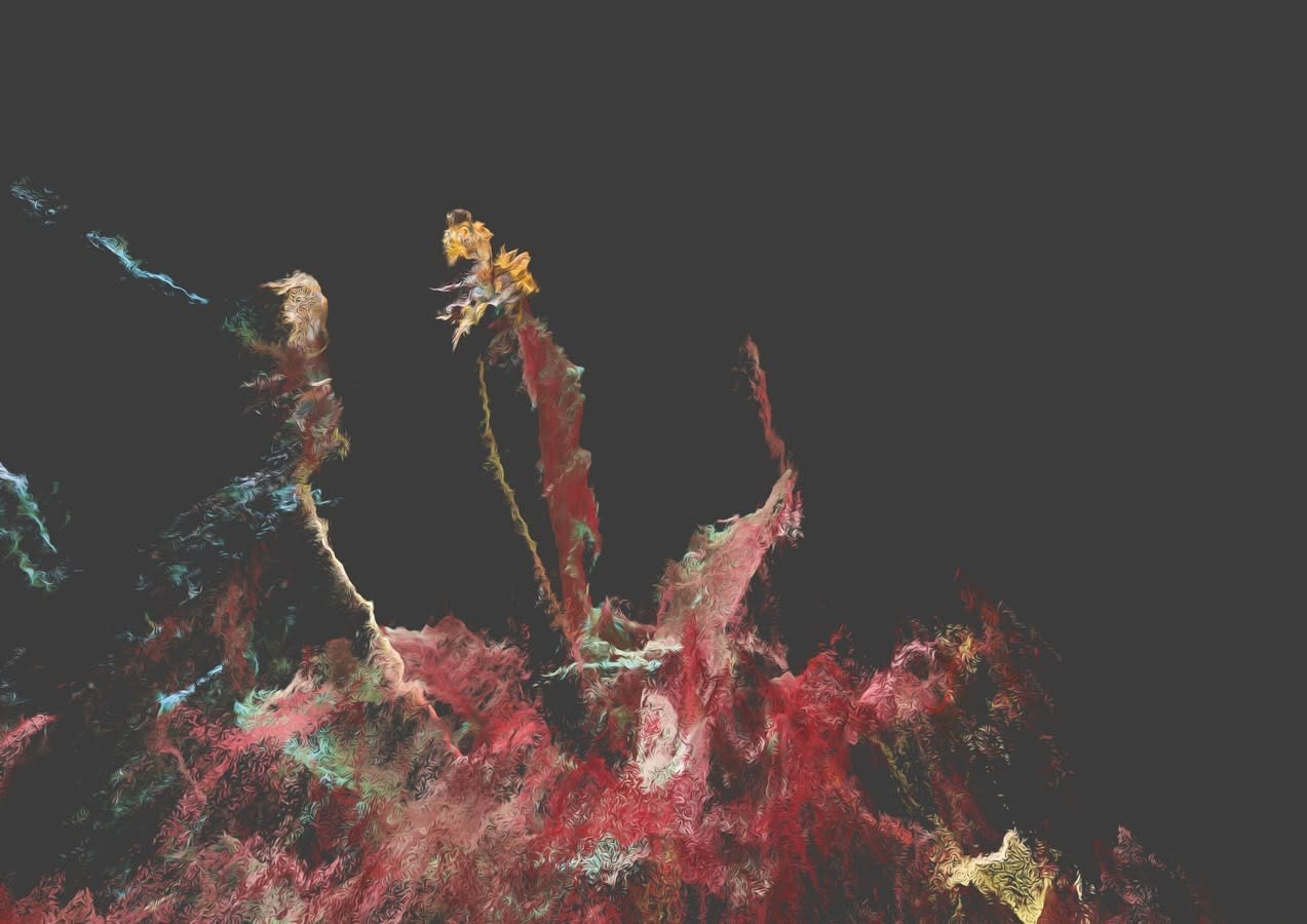 Moonis Shah, Found besides the boredom of human life, 2019