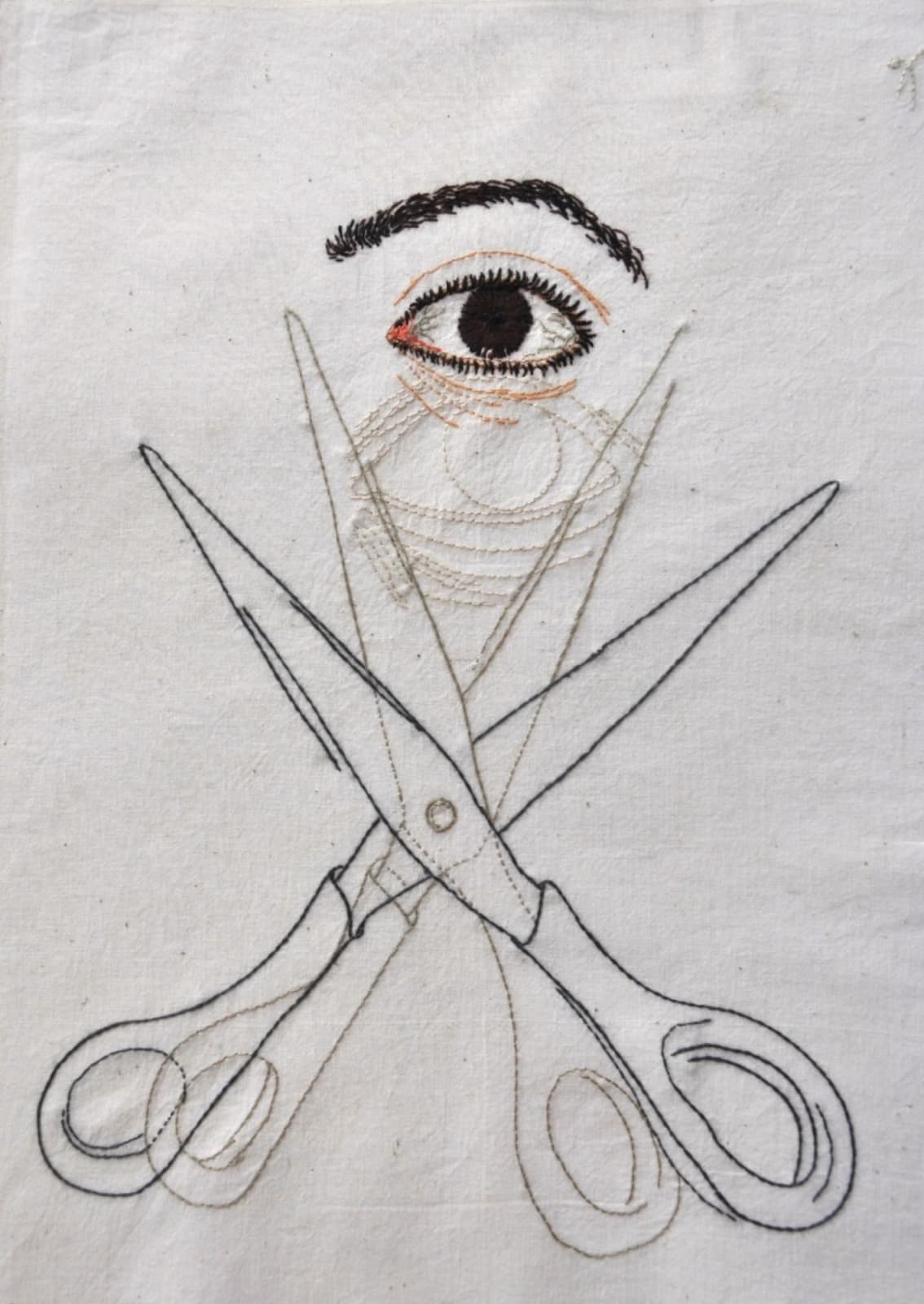 Rakhi Peswani, Envisioning the seer, 2015