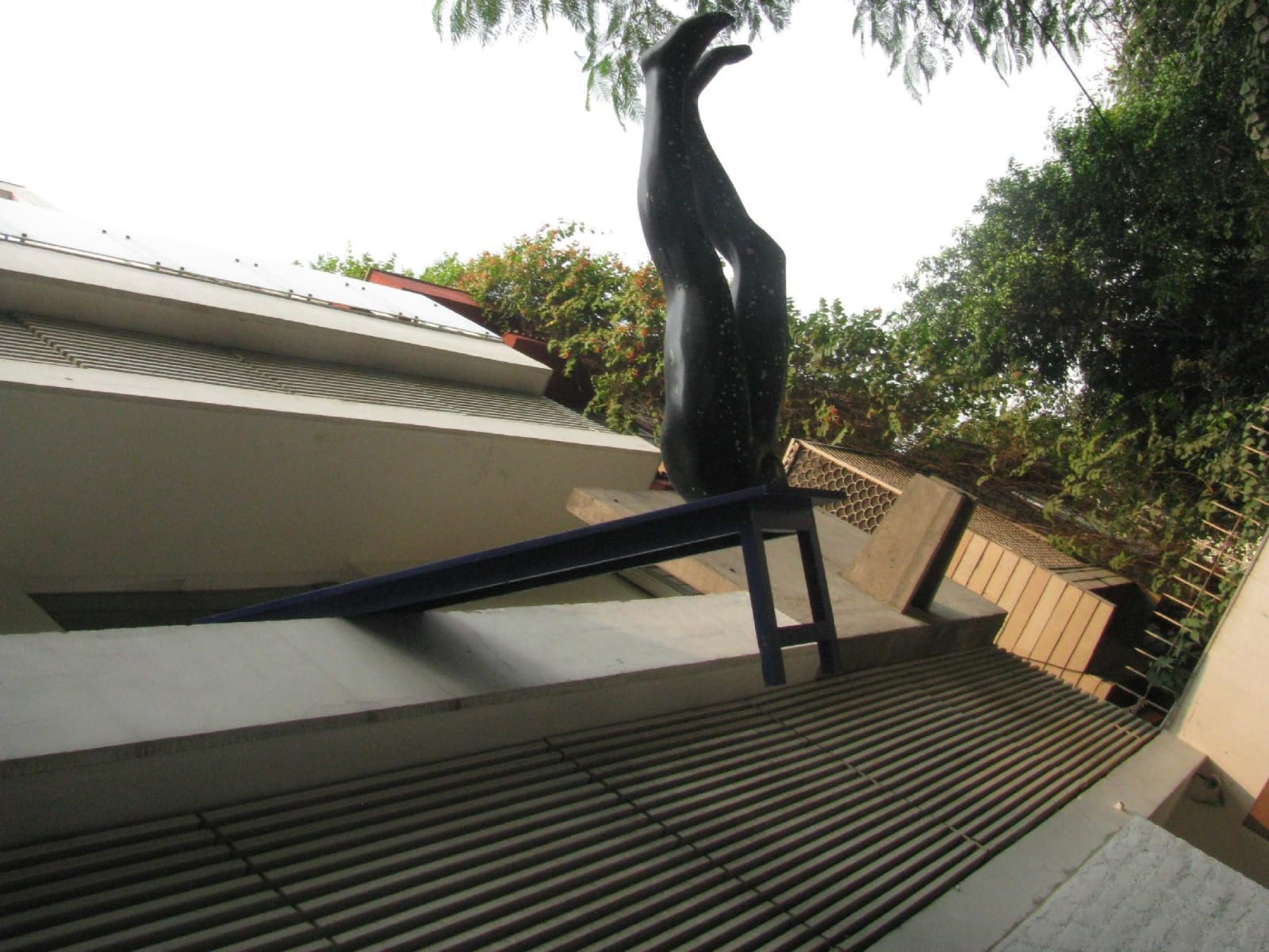 Vivan Sundaram, Leap, 2013