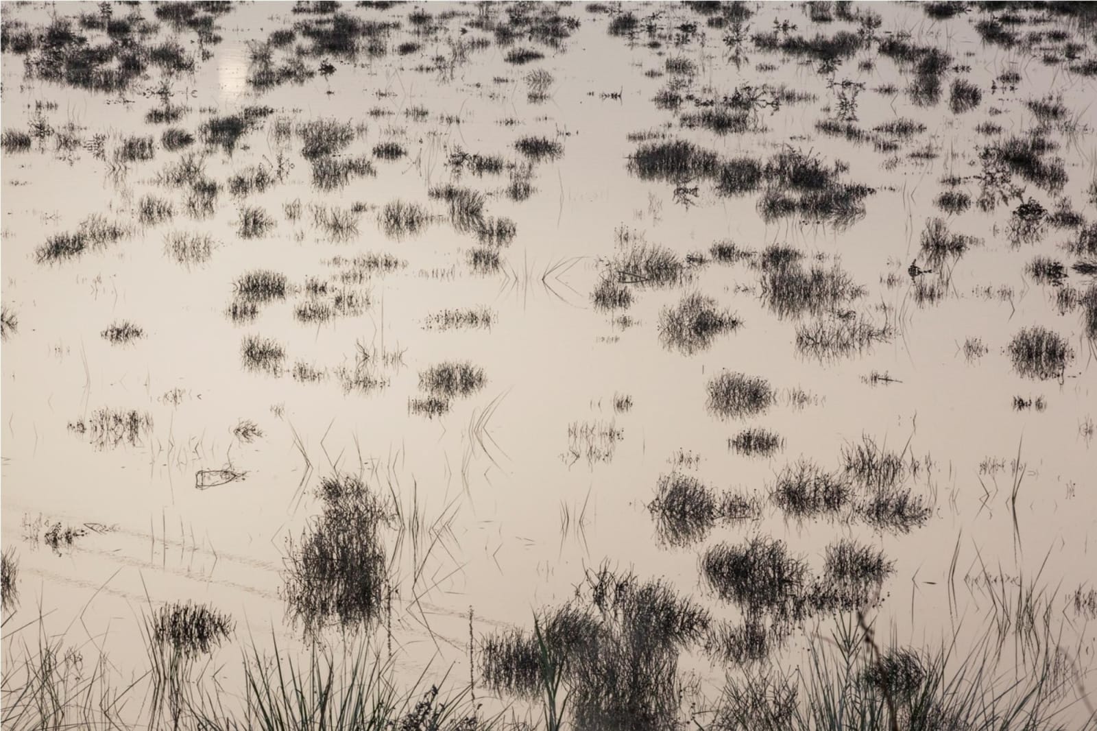 Atul Bhalla, Untitled