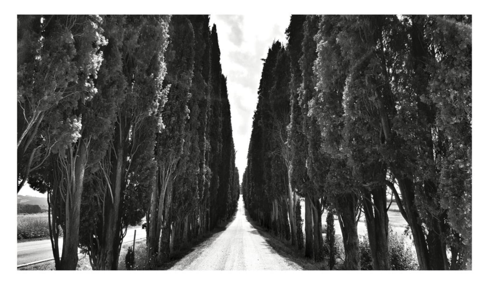 William Dalrymple, Untitled