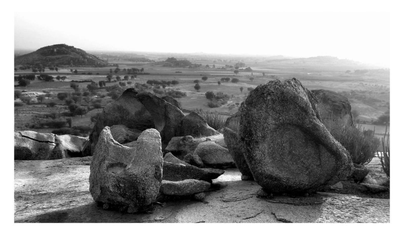 William Dalrymple, Untitled