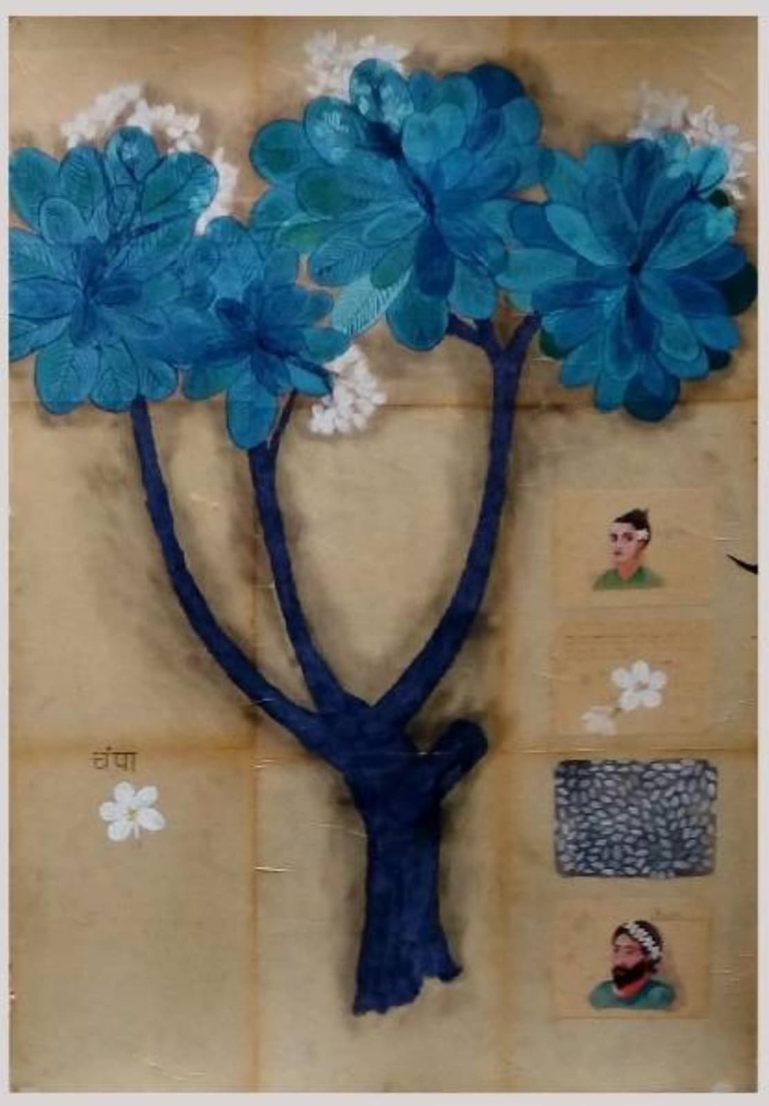 Shailesh B.R., Champa, 2017