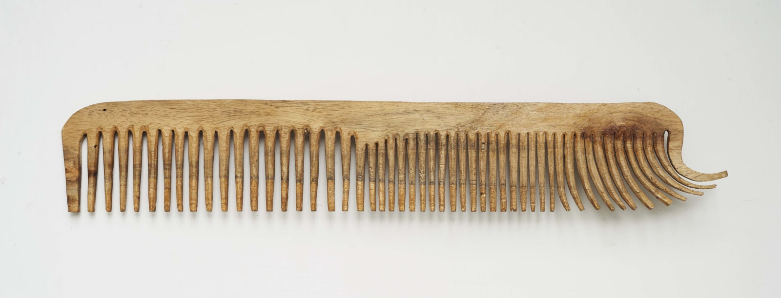 Shailesh B.R., Elephant, 2021