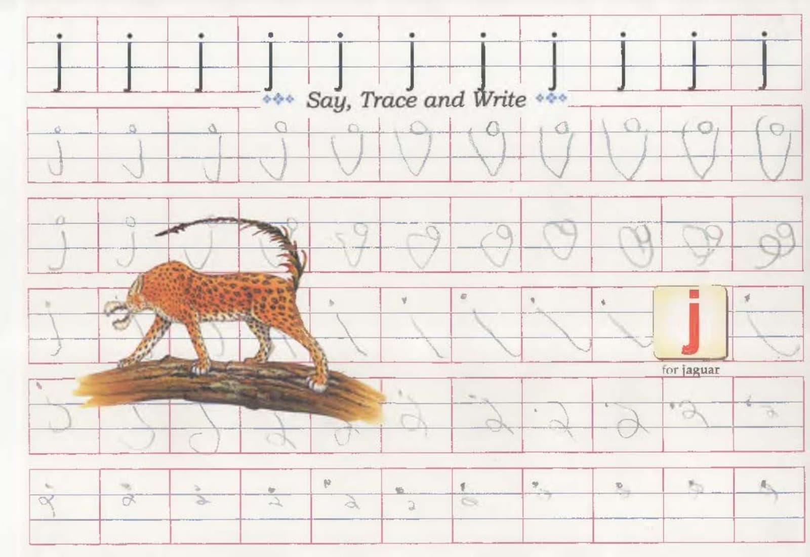 Aruna Rao, Say,Trace and Write