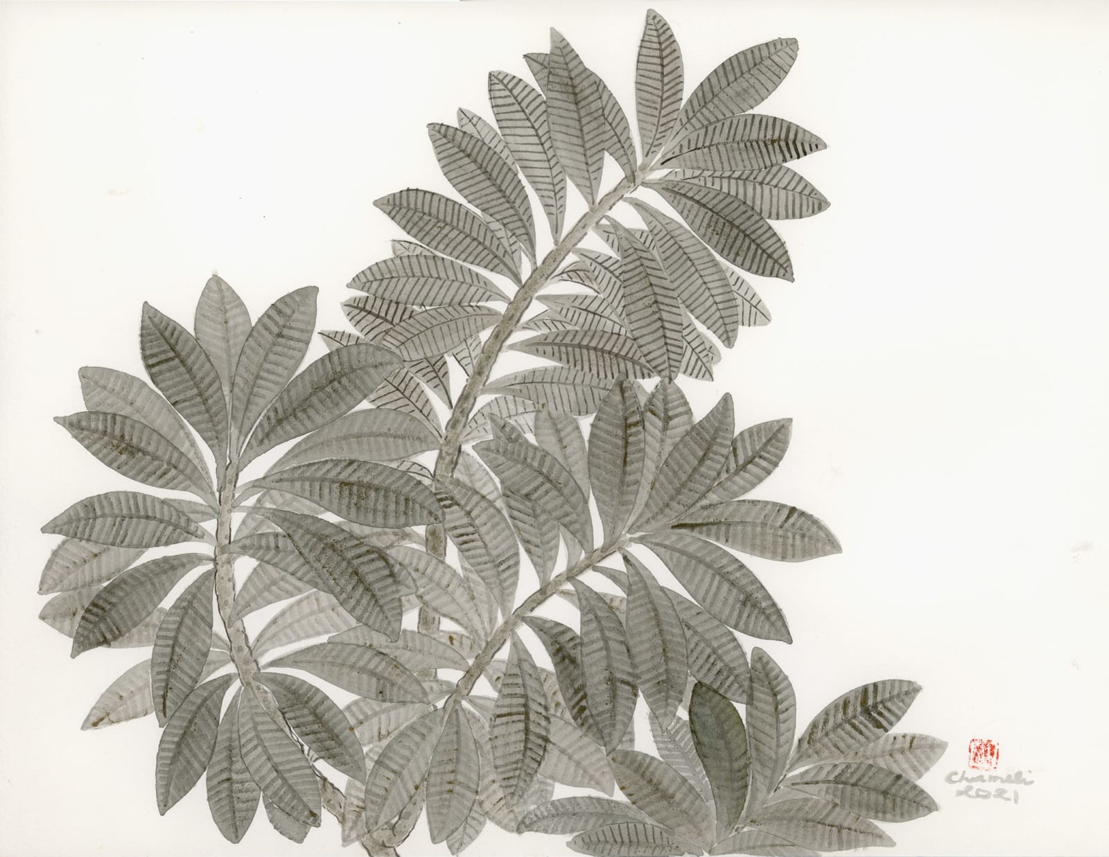 Chameli Ramachandran, Untitled, 2021