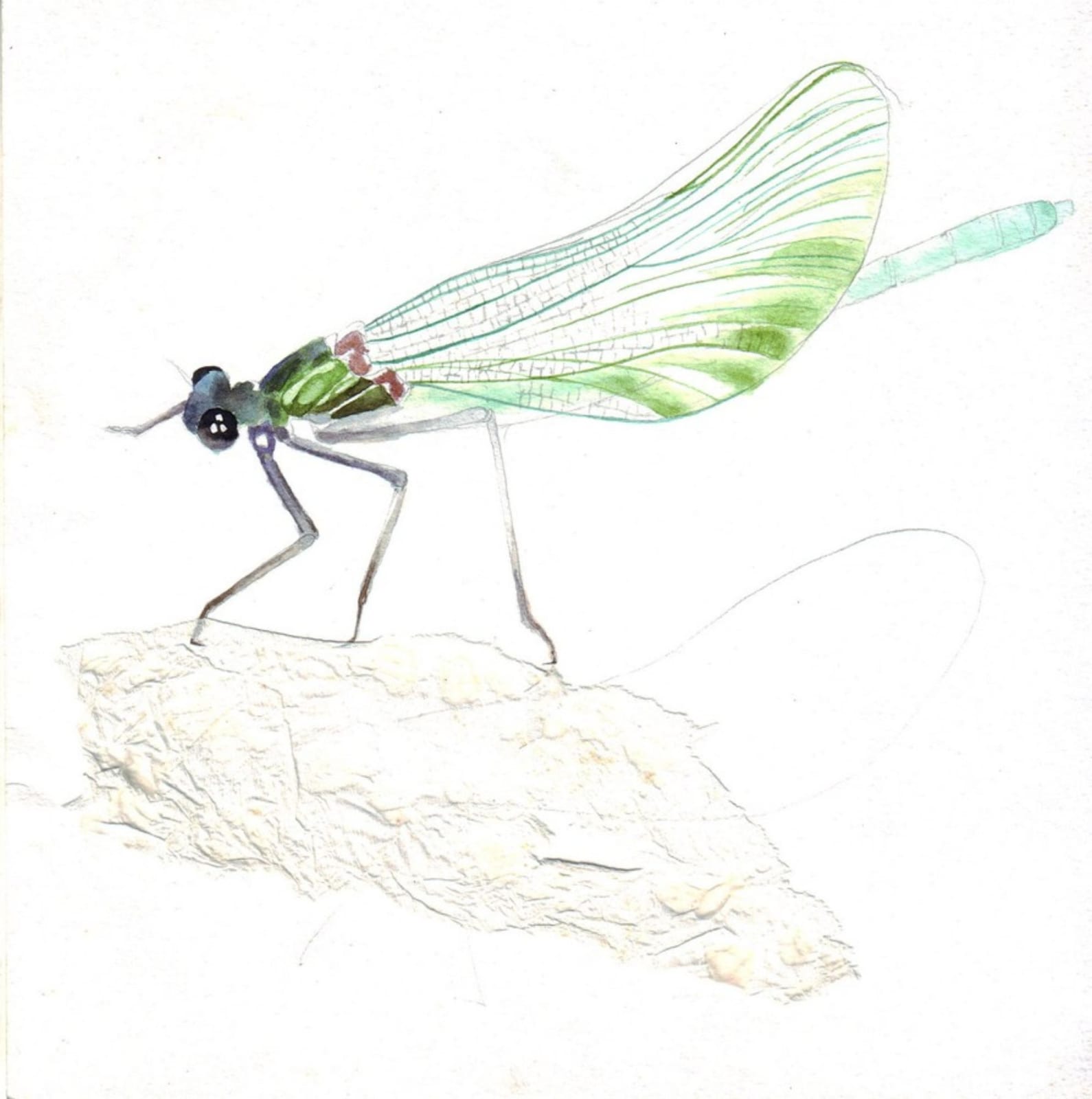 Pranati Panda, Weaving Land, 2017