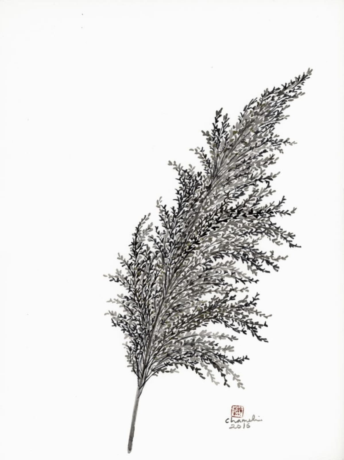 Chameli Ramachandran, Untitled, 2016