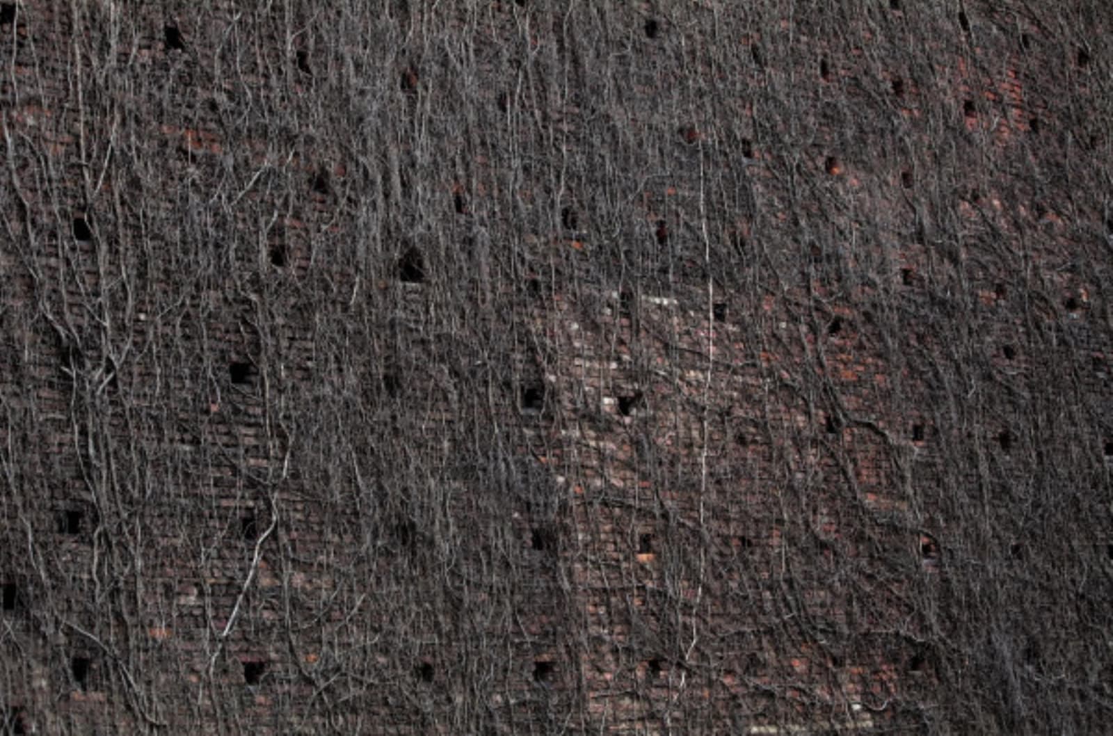 Rameshwar Broota, Nature Tapestries-53 (Edition: Ap/1), 2010